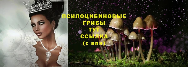 амф Армянск